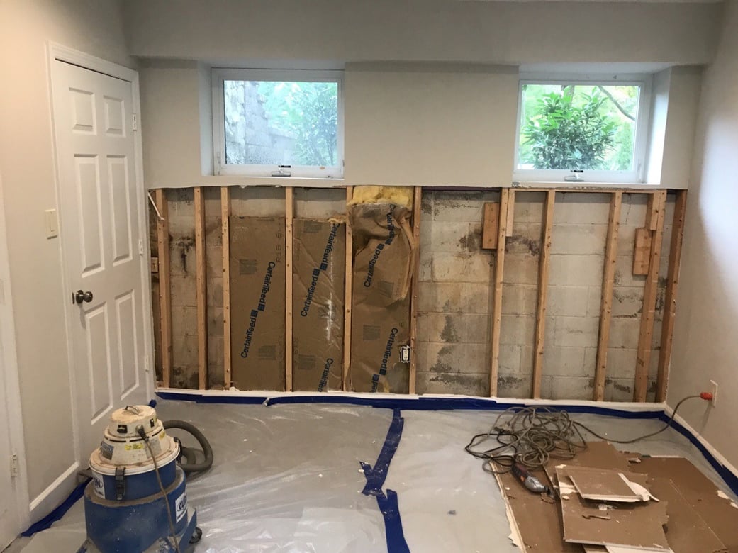 Why do I have mold? Will mold come back after remediation?